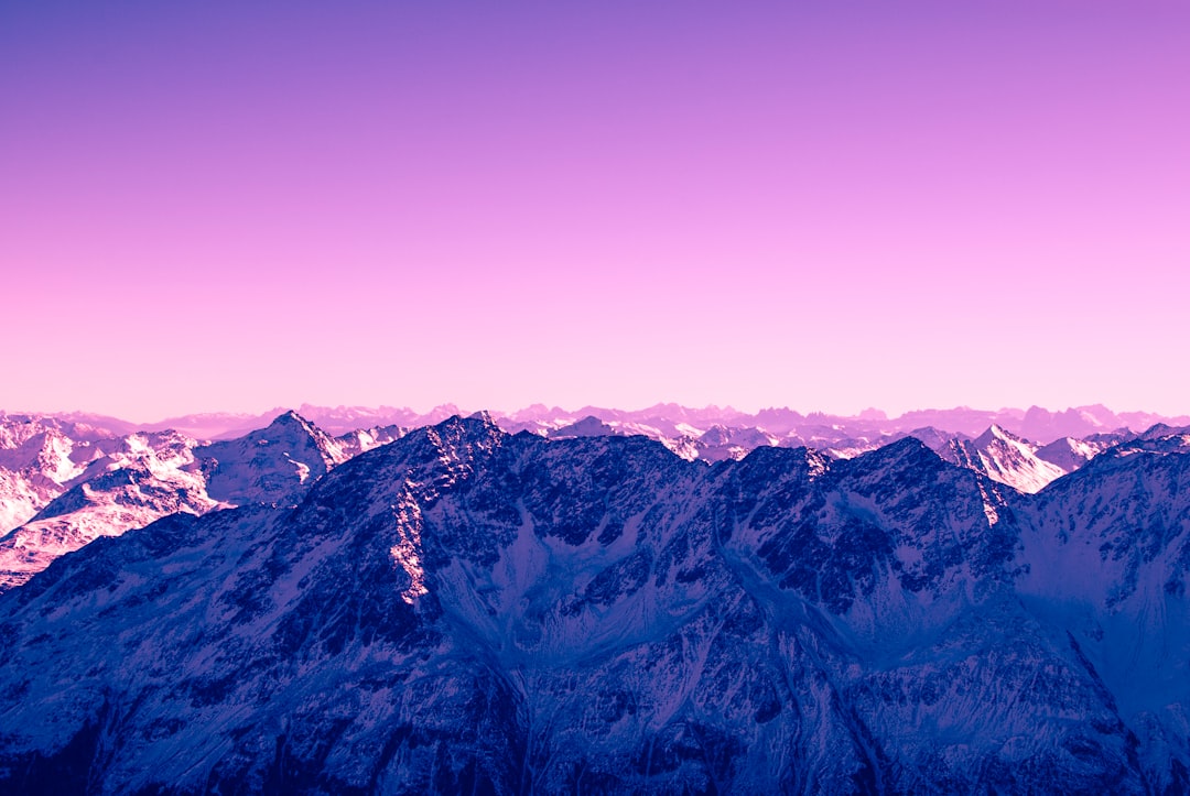 Photo purple color